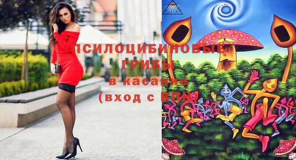 прущая мука Нея