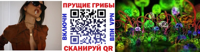 дарк нет формула  где купить наркотик  Кисловодск  Галлюциногенные грибы GOLDEN TEACHER 